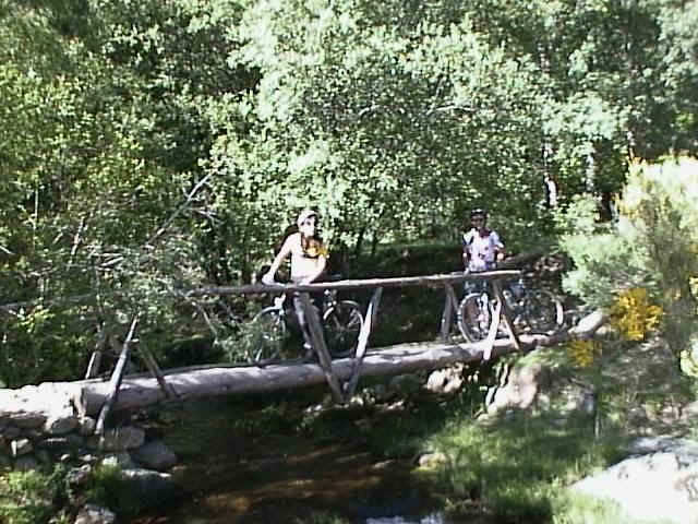 wpe1F.jpg (56300 bytes)